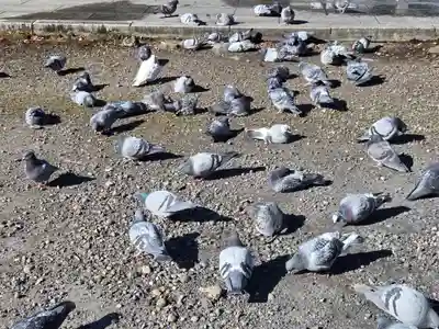 今市報徳二宮神社(栃木県)