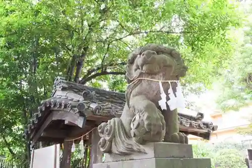 鳩ヶ谷氷川神社の狛犬