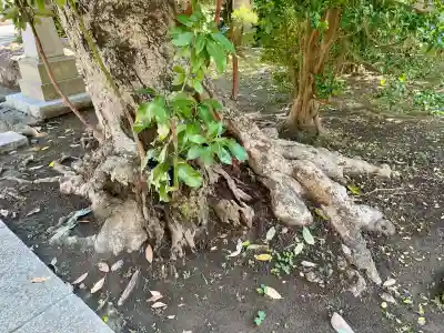 八坂大神(神奈川県)