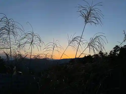 宝登山神社の自然
