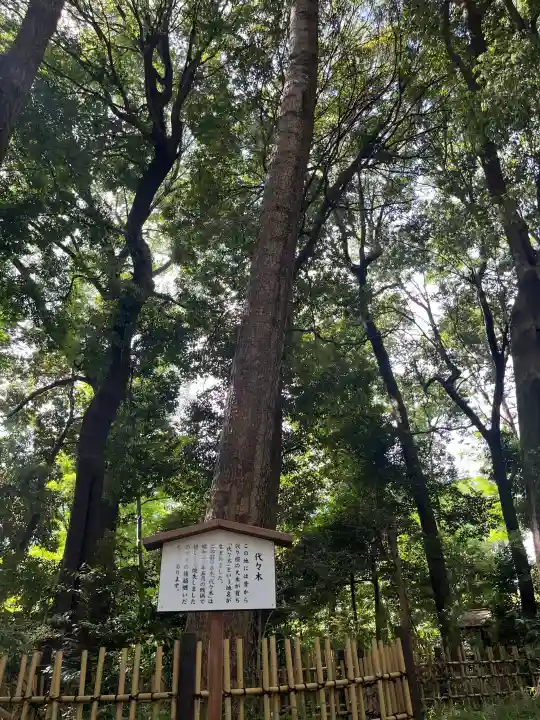 明治神宮の{uncategorized: "未分類", other: "その他", undefined: "問題あり", building: "その他建物", grave: "お墓", sacred_gate: "鳥居", guardian: "狛犬", statue: "像", buddha: "仏像", history: "歴史", nature: "自然", garden: "庭園", animal: "動物", pagoda: "塔", temizu: "手水舎", mountain_gate: "山門・神門", sanctuary: "本殿・本堂", subordinate: "末社・摂社", art: "芸術", scenery: "景色", jizo: "地蔵", ema: "絵馬", goshuin: "御朱印", omikuji: "おみくじ", items: "授与品その他", amulet: "お守り", goshuincho: "御朱印帳", eats: "食事", festival: "お祭り", votive_dance: "神楽", shichigosan: "七五三参", wedding: "結婚式", experience: "体験その他", initially: "初詣", around: "周辺", anti_infection: "感染症対策"}