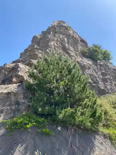 鹿岡の夫婦岩(高知県)
