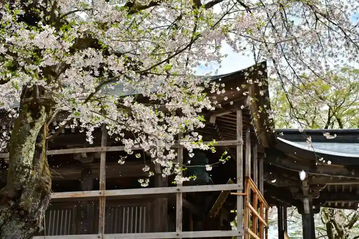 普光寺(新潟県)