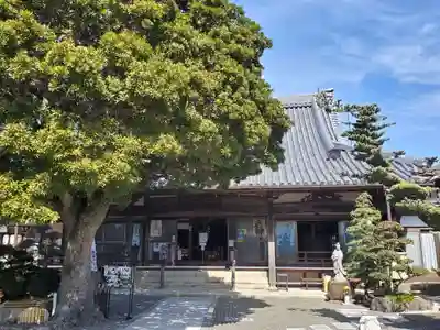 多聞寺の本殿・本堂