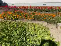 瑞穂地神宮(北海道)