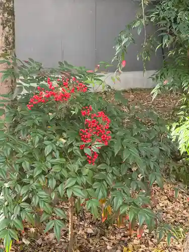 富部神社(愛知県)