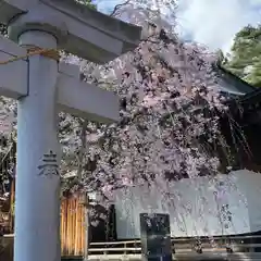 豊景神社の自然