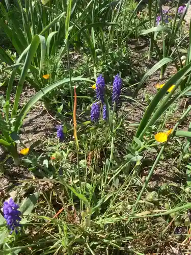 三輪神社の自然
