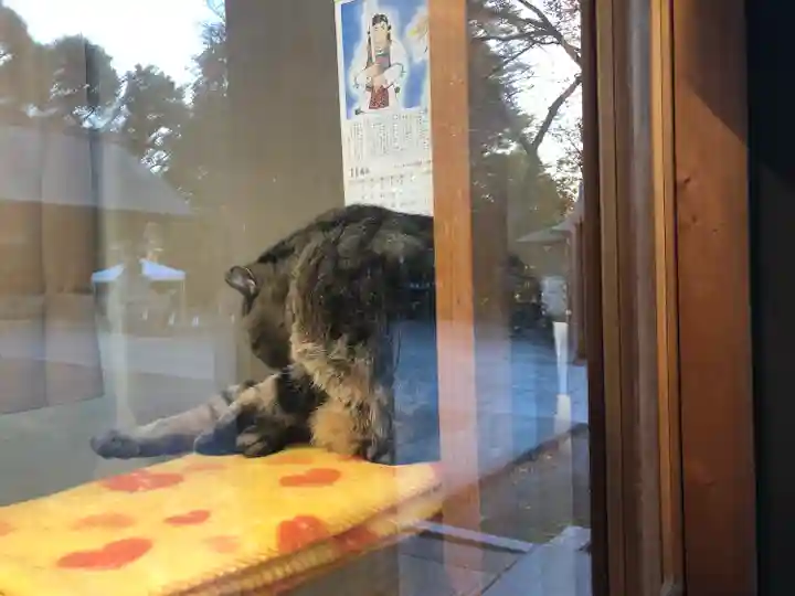 所澤神明社の動物