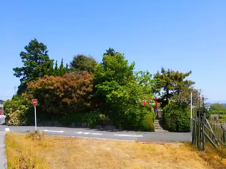 稲荷社(青山稲荷)の自然