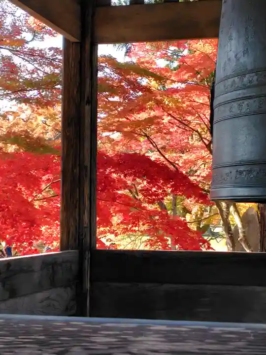 毛越寺(岩手県)