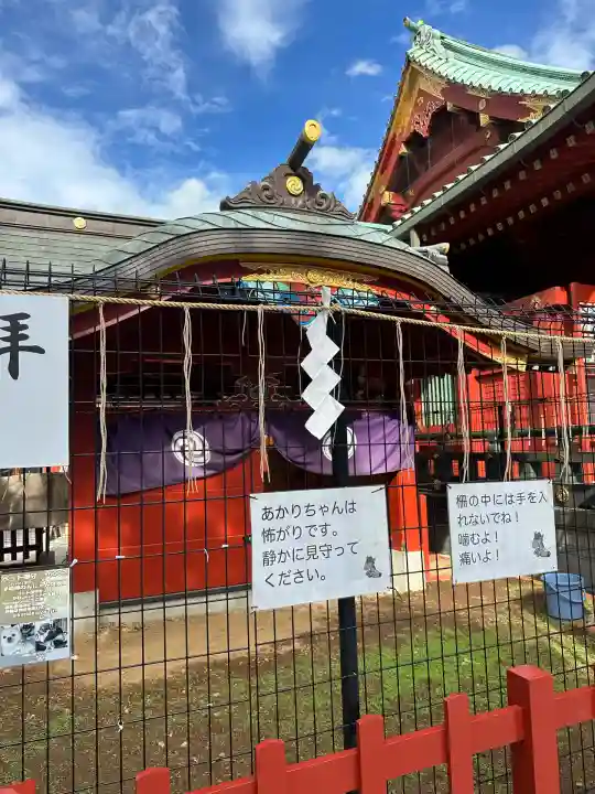 神田神社(神田明神)の動物
