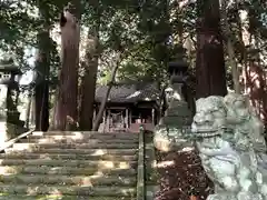 岩井川神社の狛犬