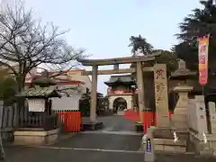 荒井神社の鳥居