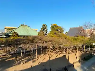 善養寺の庭園
