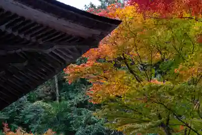 大矢田神社(岐阜県)