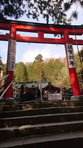 箱根神社の鳥居