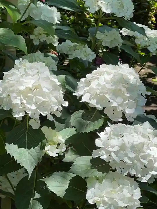 建長寺(神奈川県)