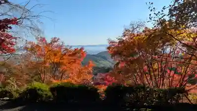 善峯寺(京都府)