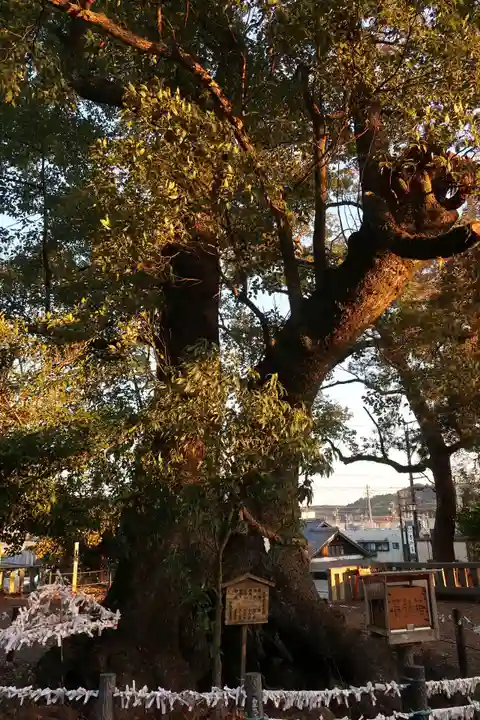 細江神社(静岡県)