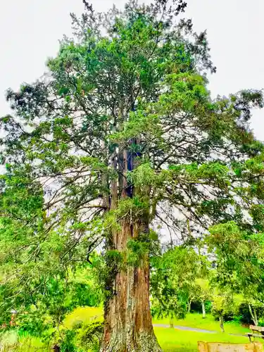 華足寺(宮城県)
