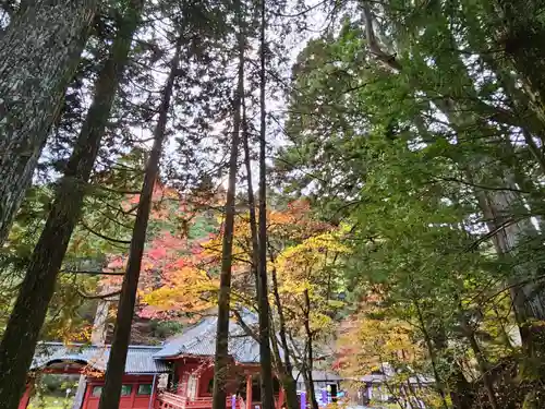 日光二荒山神社(栃木県)