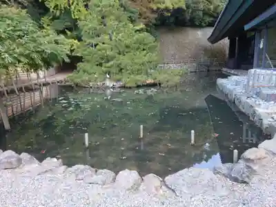 出雲大社(島根県)