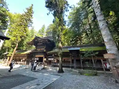 諏訪大社下社春宮の本殿・本堂