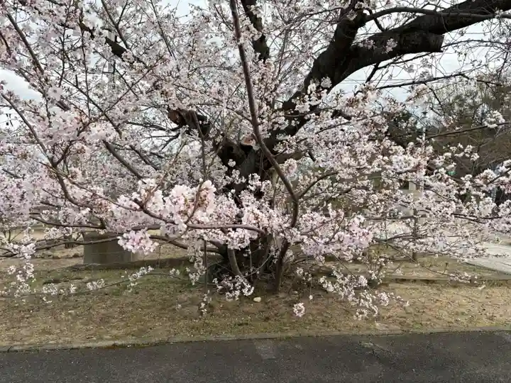 兵庫縣神戸護國神社(兵庫県)
