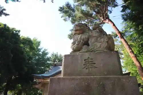 天沼八幡神社の狛犬