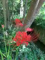 普門寺(切り絵御朱印発祥の寺)(愛知県)