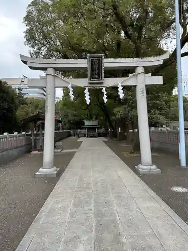 熊野神社の鳥居