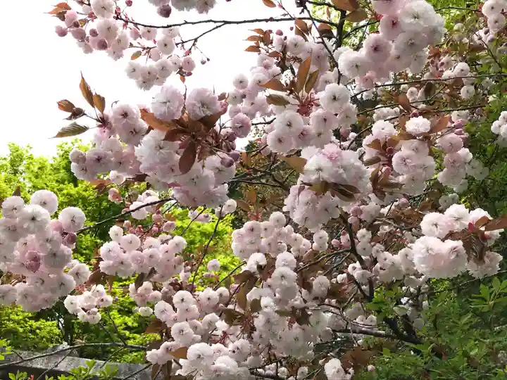 三峯神社の自然