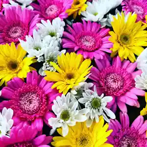 鹿島台神社(宮城県)(2022年08月18日(木) 19時43分45秒投稿)