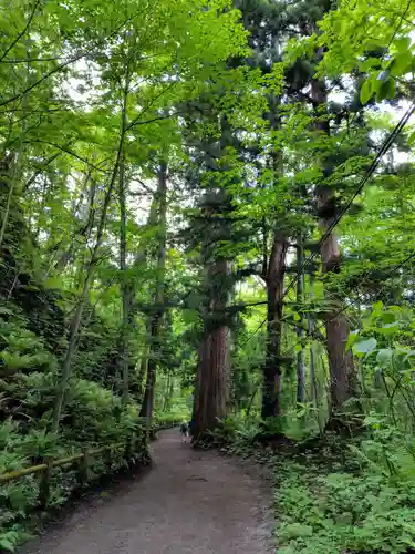 十和田神社(青森県)
