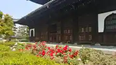 建仁寺（建仁禅寺）の庭園