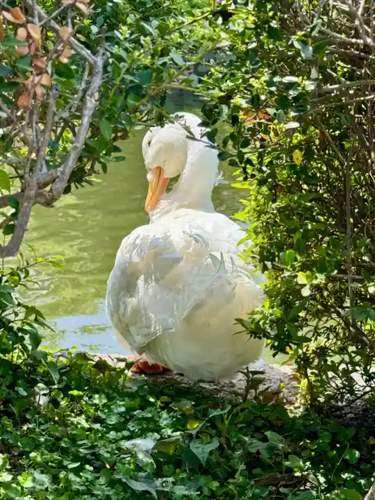 神泉苑(京都府)