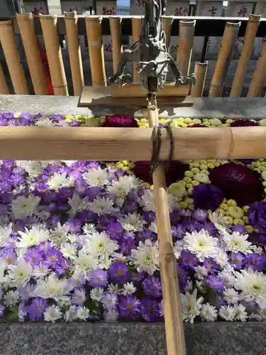 高円寺氷川神社(東京都)