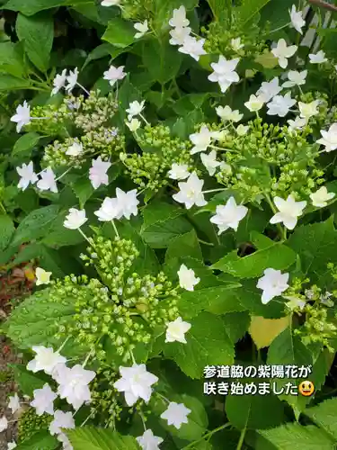阿邪訶根神社(福島県)