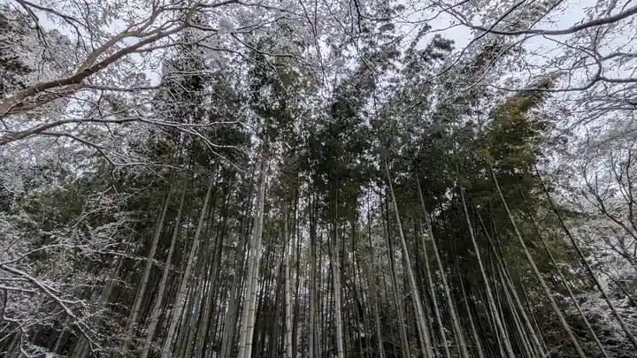 圓光寺(京都府)