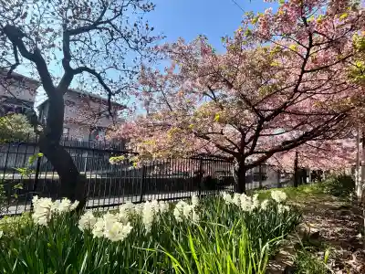 八大龍王辨財天の{uncategorized: "未分類", other: "その他", undefined: "問題あり", building: "その他建物", grave: "お墓", sacred_gate: "鳥居", guardian: "狛犬", statue: "像", buddha: "仏像", history: "歴史", nature: "自然", garden: "庭園", animal: "動物", pagoda: "塔", temizu: "手水舎", mountain_gate: "山門・神門", sanctuary: "本殿・本堂", subordinate: "末社・摂社", art: "芸術", scenery: "景色", jizo: "地蔵", ema: "絵馬", goshuin: "御朱印", omikuji: "おみくじ", items: "授与品その他", amulet: "お守り", goshuincho: "御朱印帳", eats: "食事", festival: "お祭り", votive_dance: "神楽", shichigosan: "七五三参", wedding: "結婚式", experience: "体験その他", initially: "初詣", around: "周辺", anti_infection: "感染症対策"}