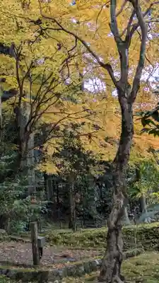 寂光院(京都府)