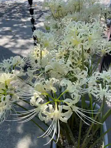 本妙寺(千葉県)