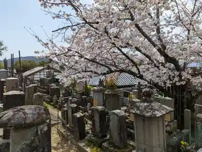 くろ谷 金戒光明寺(京都府)