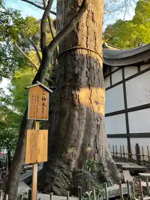 川越氷川神社(埼玉県)