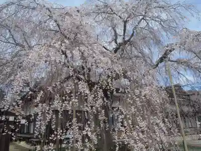 金剛寺(愛知県)