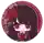 スカラさんのプロフィール画像