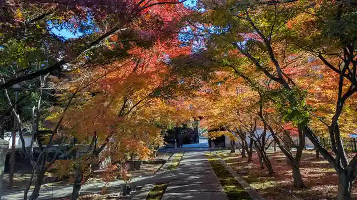 興聖寺(京都府)