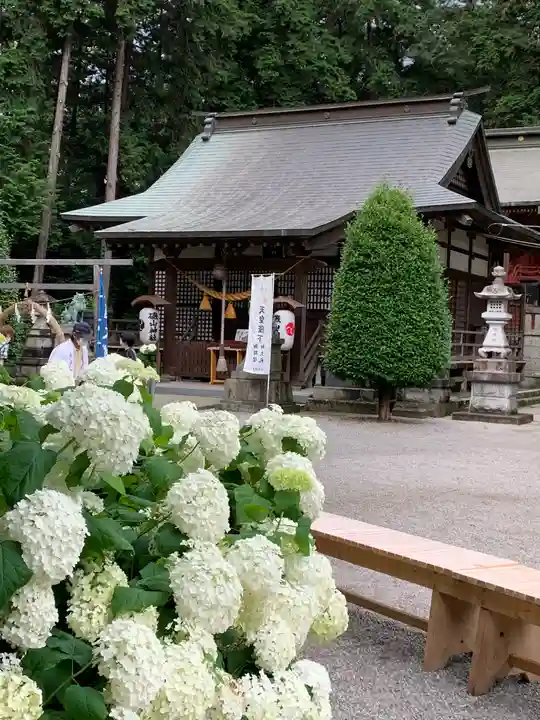 磯山神社の自然