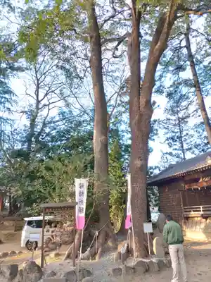 開運招福 飯玉神社(群馬県)